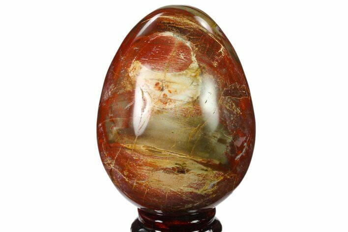Colorful, Polished Petrified Wood Egg - Triassic #133896
